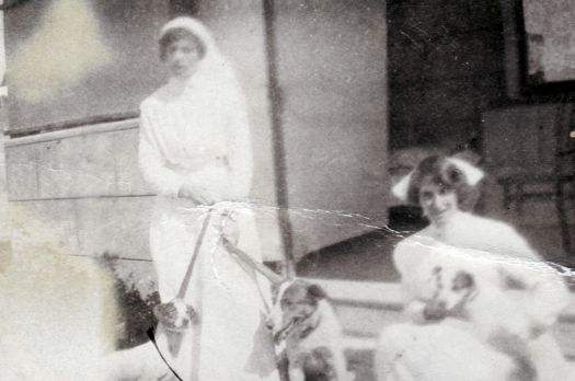 Two nurses holding three dogs