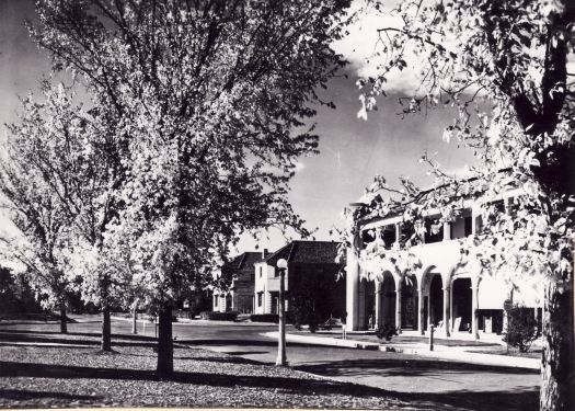 Sydney Building and Hotel Civic from the median strip of Northbourne Avenue. Flowering trees indicate that it is spring.