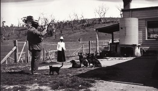 A man training dogs