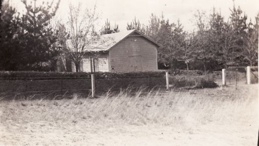 Acton Nursery showing trees growing around a hut with a hedge and fence in foreground.