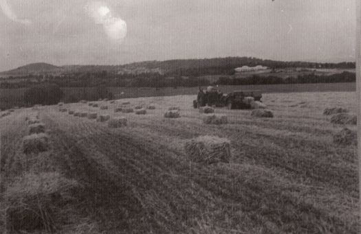 Baling hay