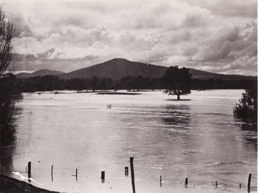 Molonglo River in flood