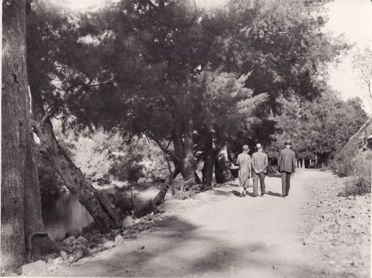 The dam walk 