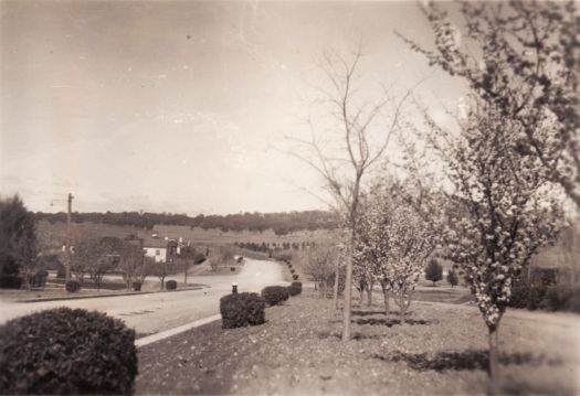 Monaro Crescent, Red Hill from front of No.18