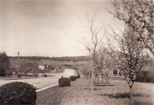 Monaro Crescent from front of No.18