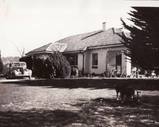 Unidentified house, with dog drinking water and a car