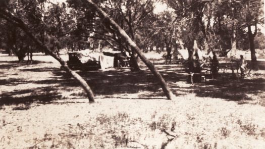 Camp near Edwards River, Deniliquin