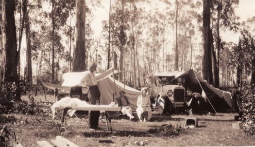 Camp at Cann River, Gippsland