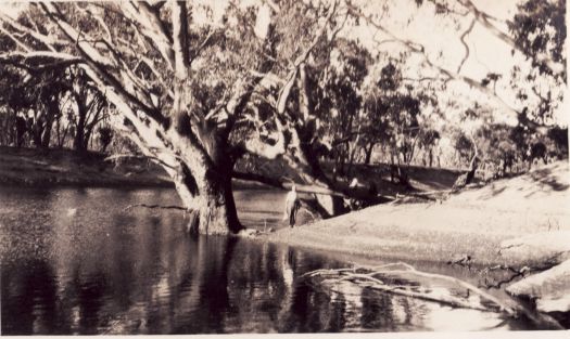 Edwards River, NSW