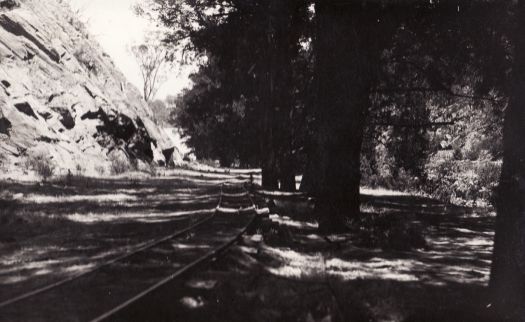 Picnic ground, Cotter Dam