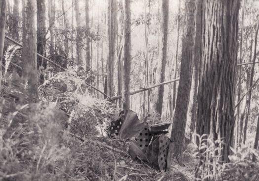 Southern Cloud (aeroplane VH-UMF) wreckage at discovery