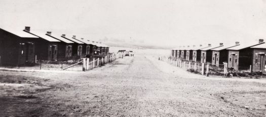 Second and third row of houses at the Causeway.