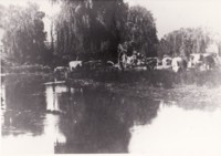 Molonglo River near Klensendorlffe's house