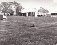 Glenburn Shearing Shed 