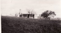Front view of Blundell's Cottage showing a horse tied to a post on the right side of the cottage. Parliament House can be seen in the distance.