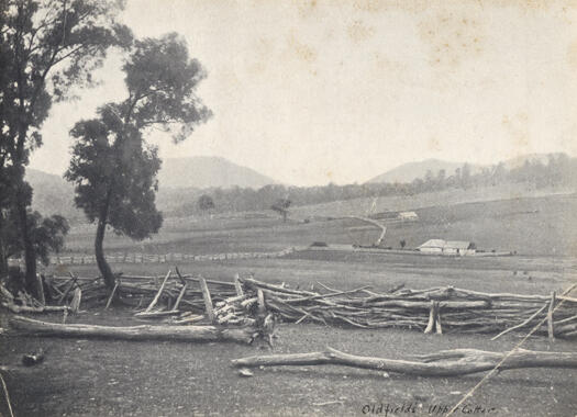 Upper Cotter River, home of Thomas Oldfield