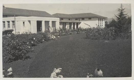 Telopea Park School in Barton. Front entrance showing roses and lawn.