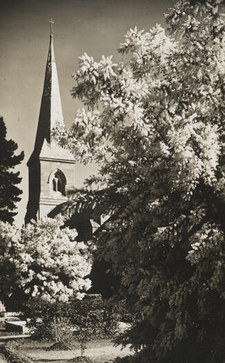 St John the Baptist Church in Reid. Shows the church spire with a cross at the top. Most of the church is hidden by shrubbery.