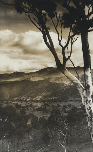 View from Mt. Stromlo