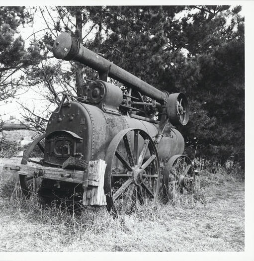 Old steam engine in grass and bushes at Oaks Estate