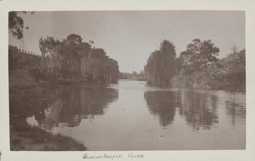 Queanbeyan River with willow trees drooping into the water