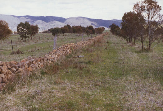 CDHS excursion to Tuggeranong. The old stone wall, Athllon Drive, Greenway.