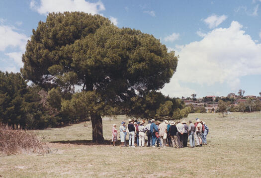 CDHS excursion to Tuggeranong with a group standing beneath a tree on the Pike farm site, now part of the Tuggeranong Homestead area, Richardson
