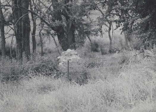 Remains of fireplace, Brennan's property, Tuggeranong, north east of the Monaro Highway near Tuggeranong Creek.