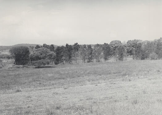 House site of Martin Pike, Richardson, taken from from Ashley Drive