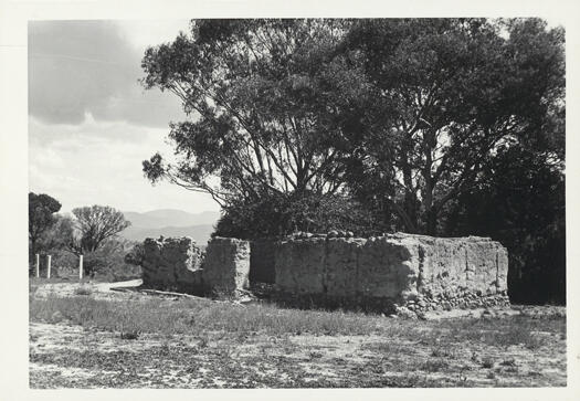 Pise hut ruins, Tuggeranong. Site is now in Kirkcaldie Circuit, Chisholm.
