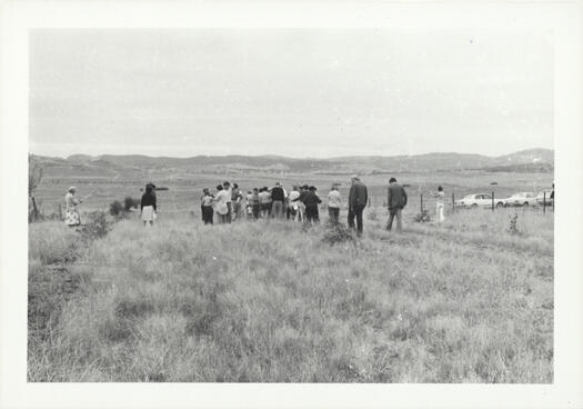 People in a paddock