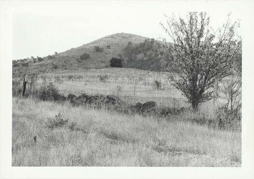 Paddocks in Tuggeranong