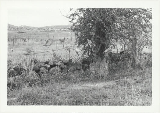 Tuggeranong stone wall boundary marker