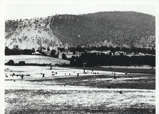 Snow, Yarralumla