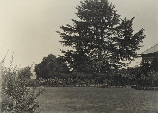 Yarralumla House gardens