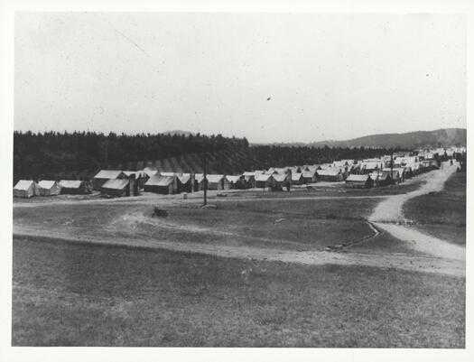 A large group of tents at the Forestry Camp at the foot of Mt Stromlo