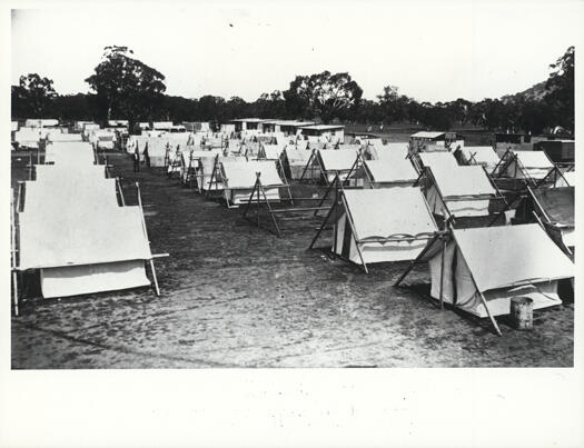 Rows of tents at White City workman's camp, Acton