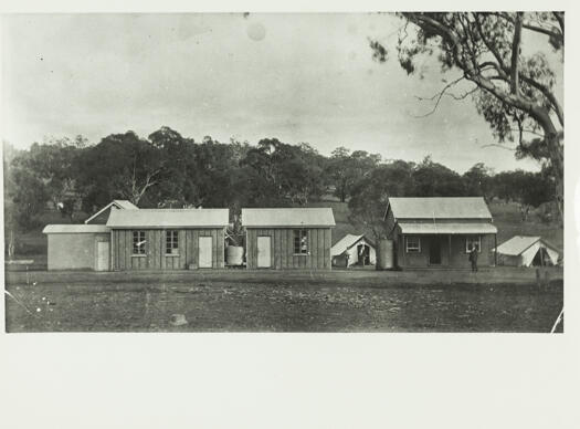 Offices of Survey Branch, Acton showing three wooden huts with tents behind them.