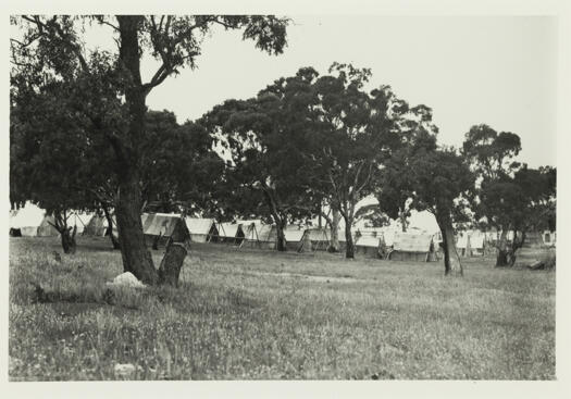 Surveyors tents set amongst trees
