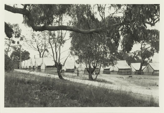 Survey tents set amongst trees