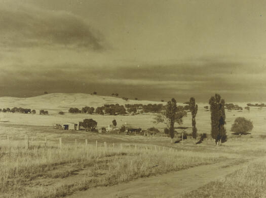 Farmhouse surrounded by open space with a shed nearby and some trees in the middle distance. 