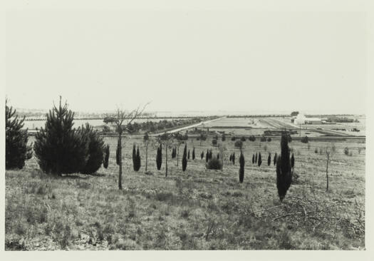 Parliament House in the early part of its construction