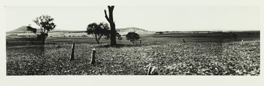 Canberra site looking north from the Capital Hill trig station.