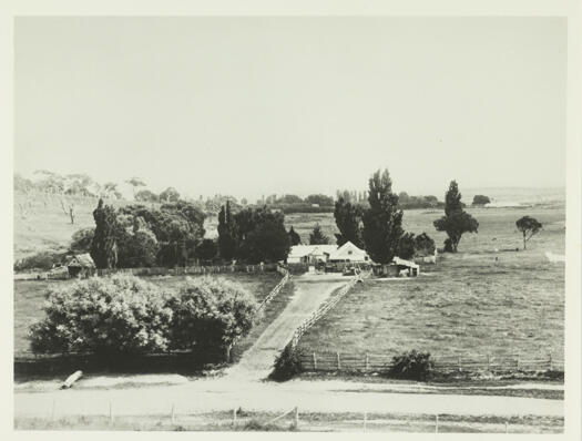 Ginninderra Homestead and store showing the Yass road in the foreground with a driveway off to the left to a house with a horse and sulky in front. Trees are behind the house.