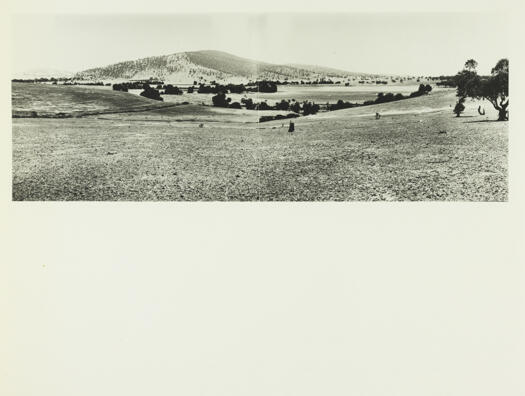 Federal capital site from Kalvin gully near Duntroon