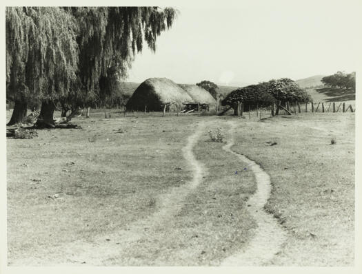 A track winding to a gate in a fence. There are two willow trees on the left of the track and two thatched haystacks with a four wheeled wagon in front of the haystacks. 