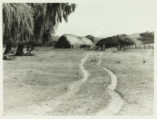 Canberra haystacks