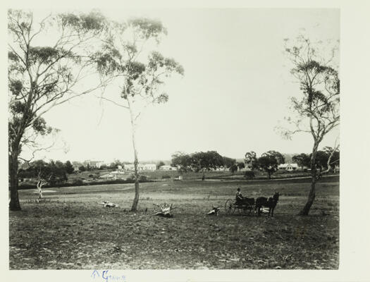 Gungahlin Homestead, showing the Crace extensions to the house, is in the distance. Closer a man can be seen in a buggy. A large house can be seen on the right of the photo.