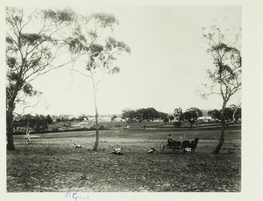 Gungahlin Homestead 