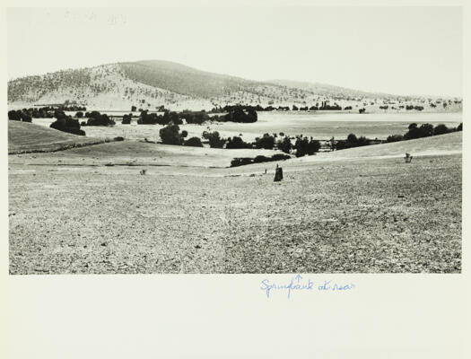 Rear view of Springbank towards Black Mountain